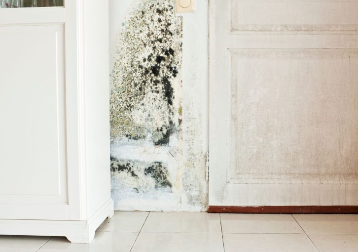 HOW TO IDENTIFY SIGNS OF MOLD IN YOUR HOUSE