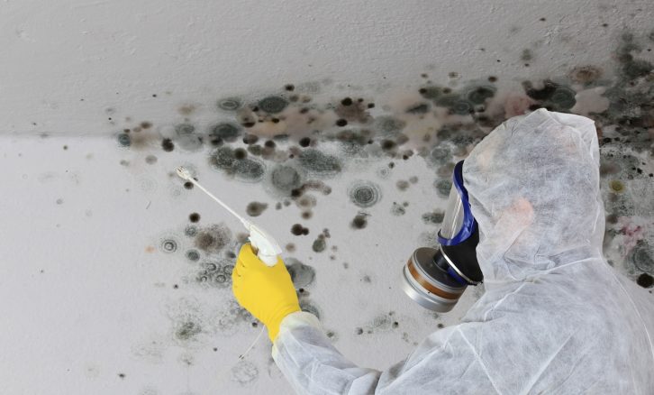 RELIABLE MOLD REMEDIATION AND CLEANUP IN NASHVILLE